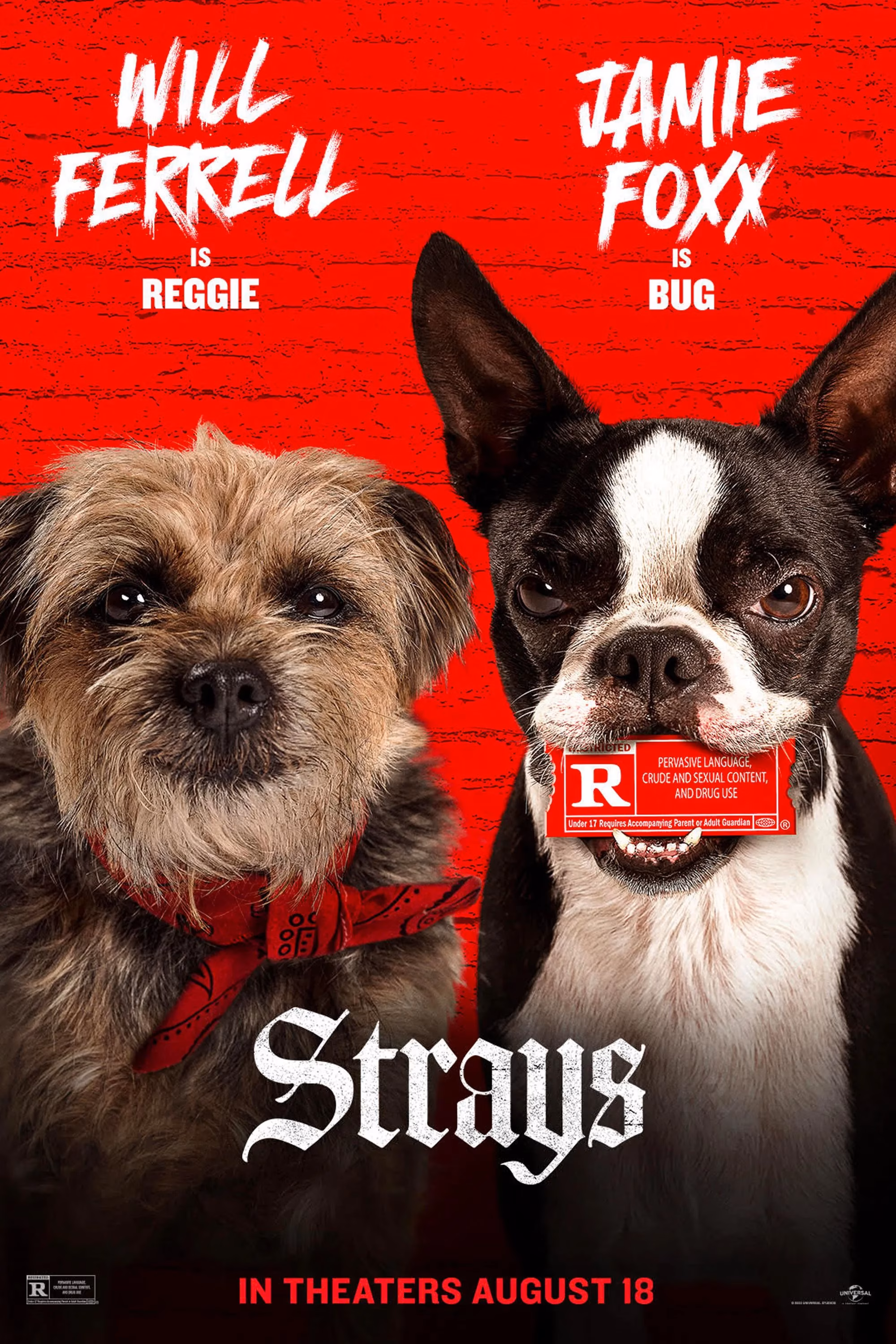 how-real-dog-breeds-shaped-the-hilarious-legacy-of-strays-by-2026-image-6