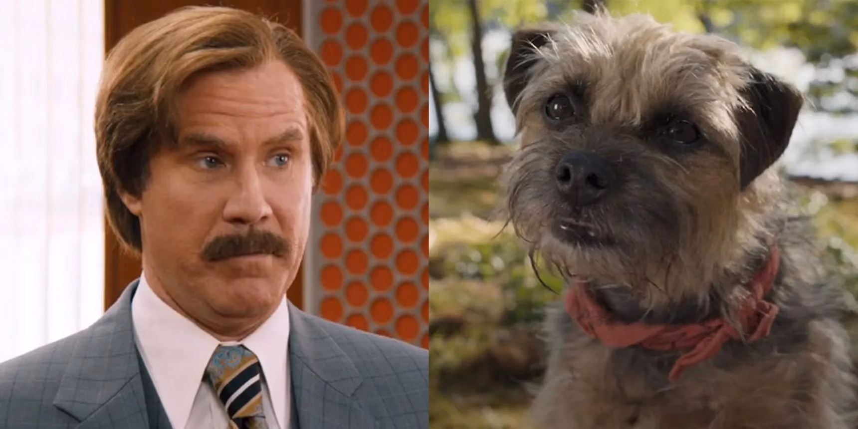 strays-cast-the-star-powered-voice-actors-behind-the-revenge-seeking-dogs-image-0