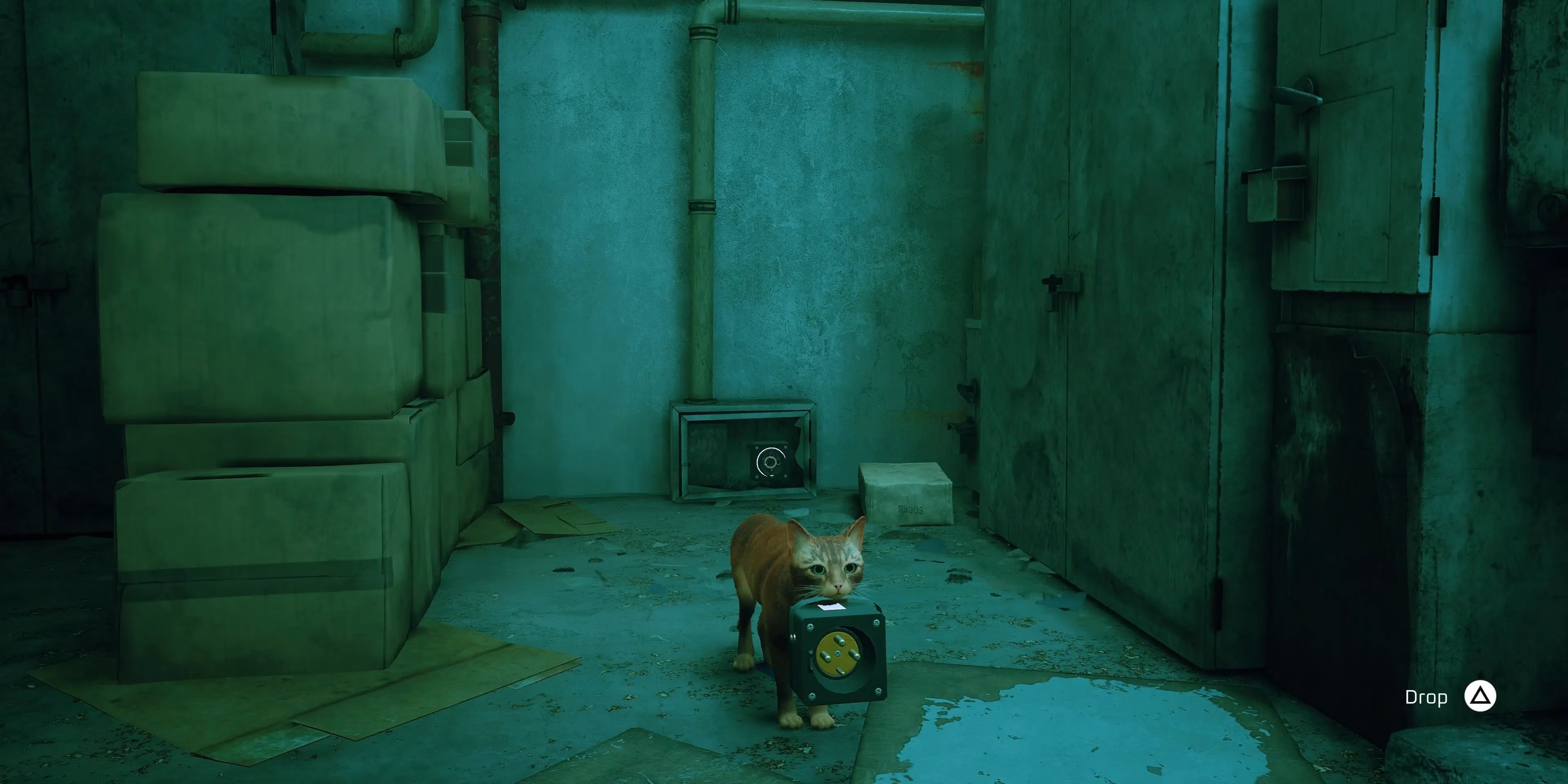stray-movie-why-annapurna-animation-must-let-the-cat-keep-its-cool-image-2