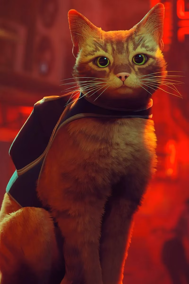 stray-on-switch-the-ultimate-cozy-cat-adventure-in-2026-image-2