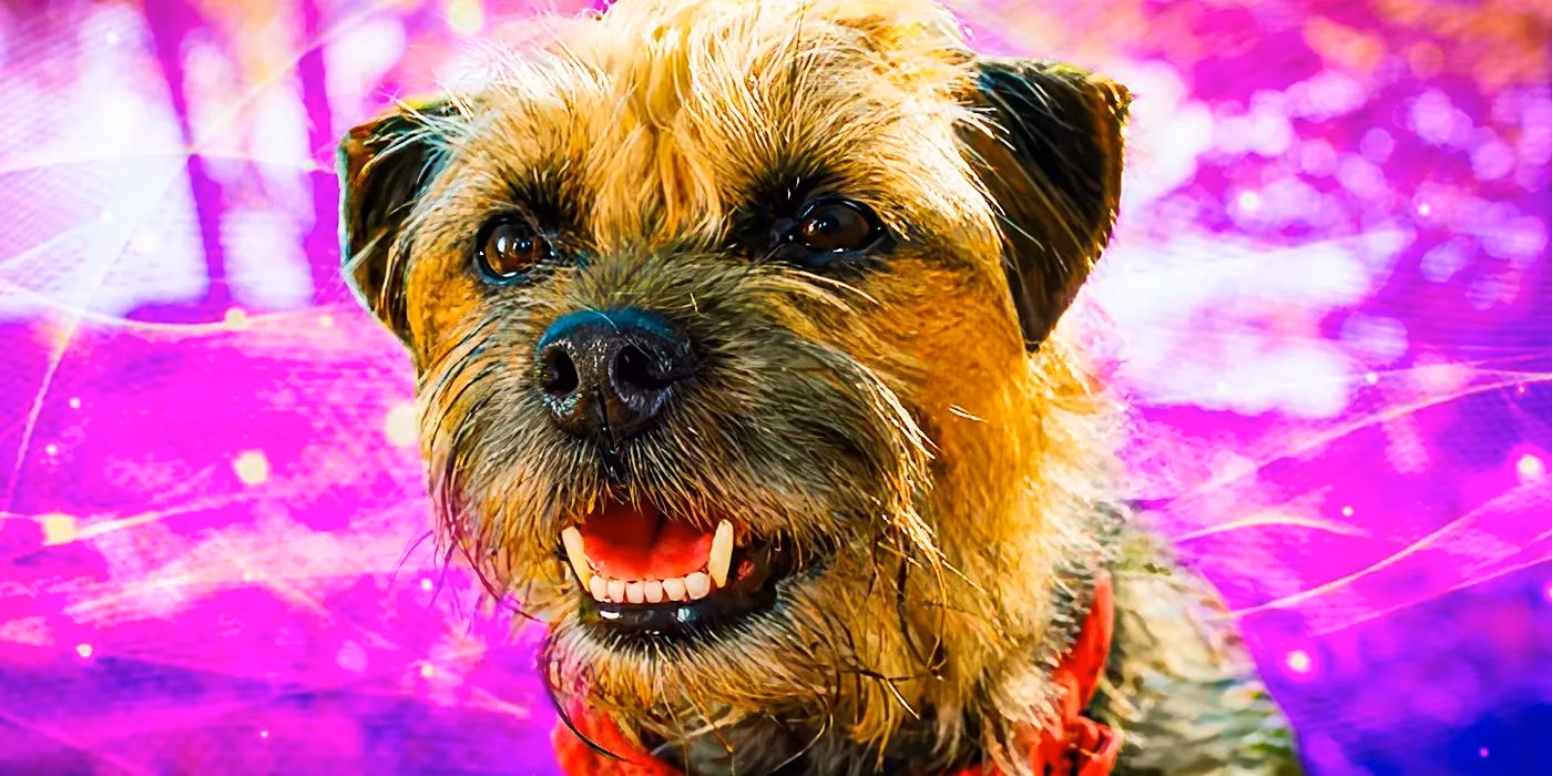 how-real-dog-breeds-shaped-the-hilarious-legacy-of-strays-by-2026-image-0
