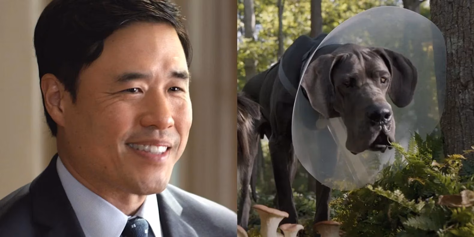 strays-cast-the-star-powered-voice-actors-behind-the-revenge-seeking-dogs-image-3