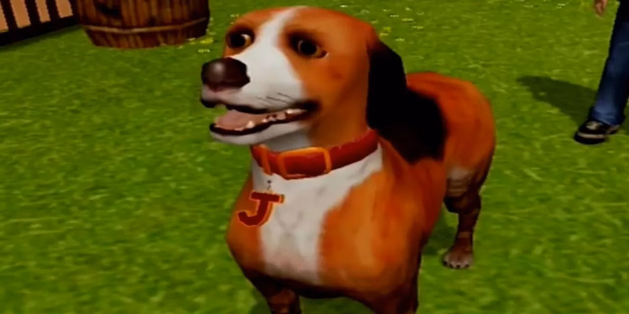 mundane-pet-lives-become-extraordinary-video-game-adventures-image-1