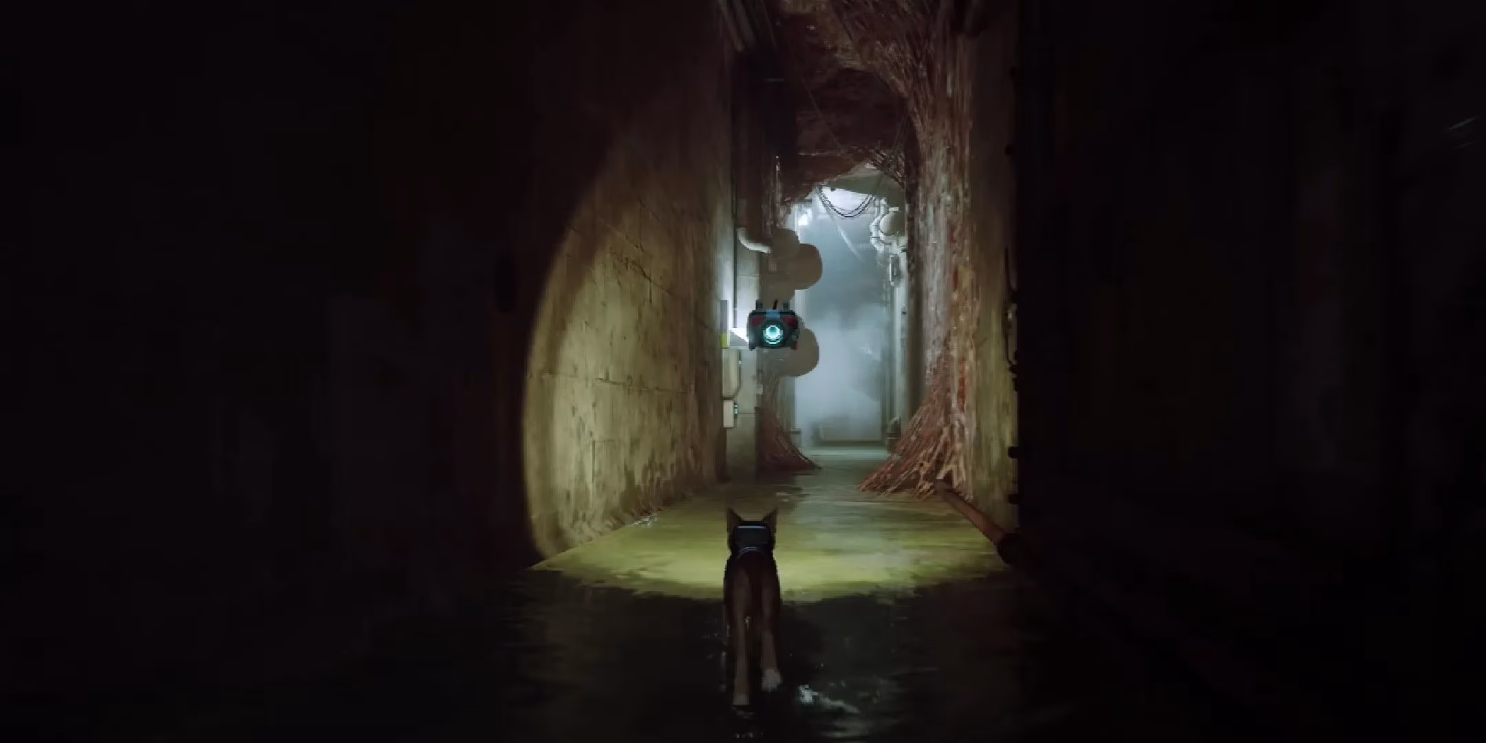 stray-vs-little-kitty-which-cat-game-truly-delivers-image-2