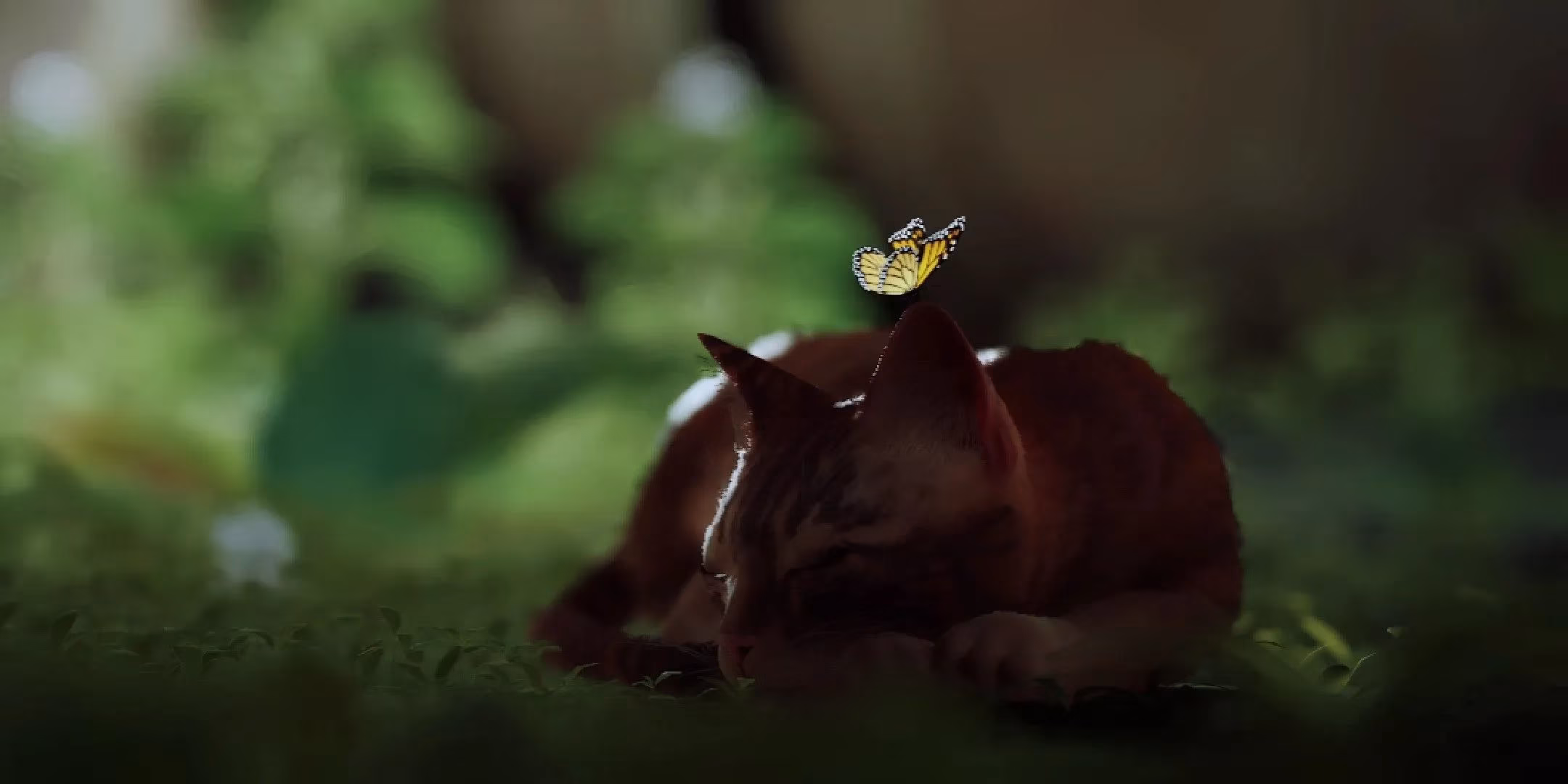 stray-vs-little-kitty-which-cat-game-truly-delivers-image-3