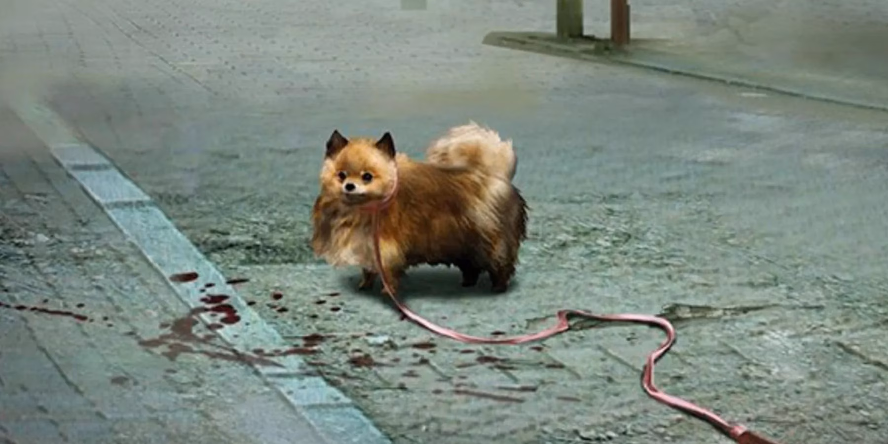mundane-pet-lives-become-extraordinary-video-game-adventures-image-5
