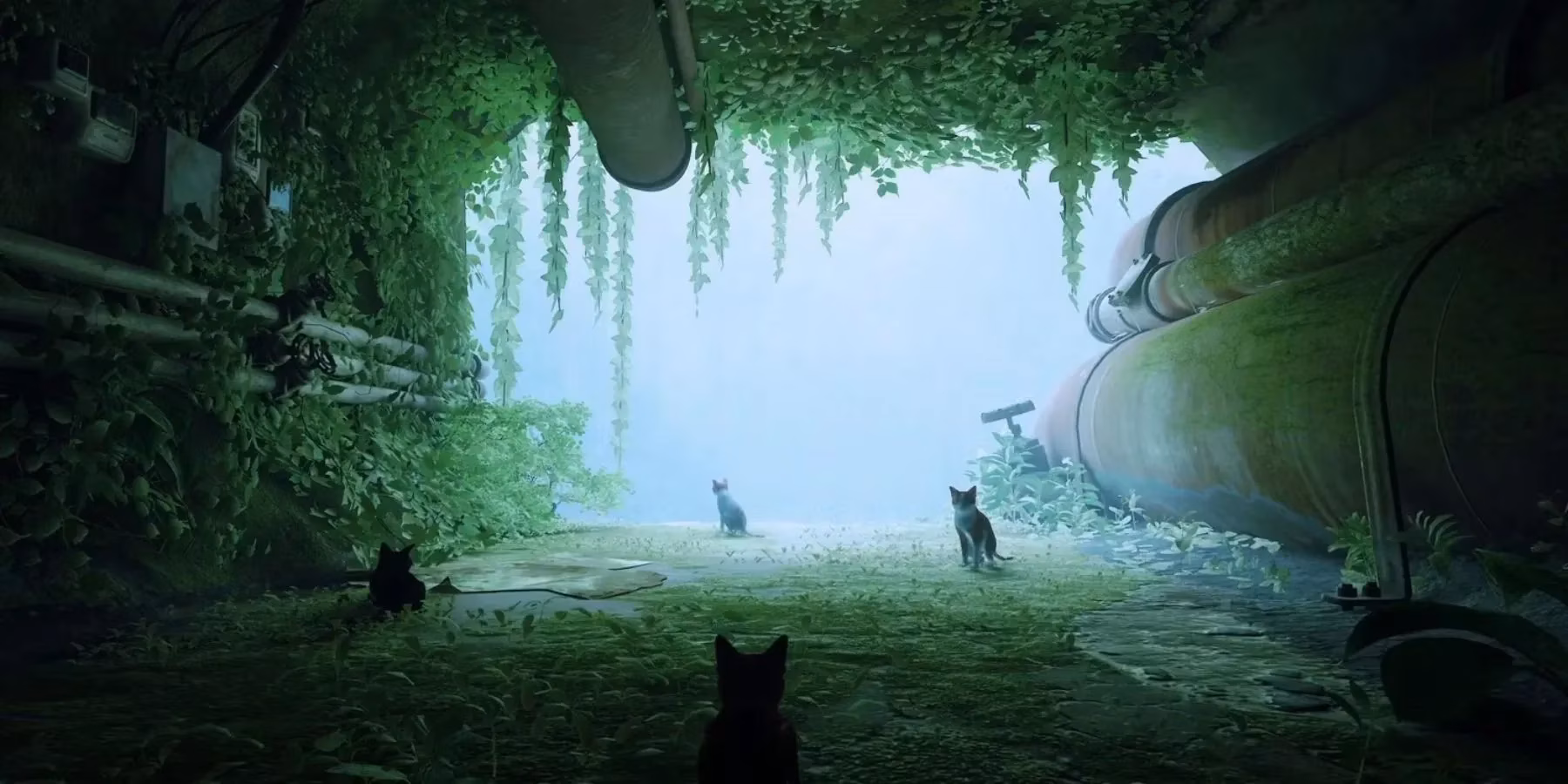 stray-sequel-in-2026-is-bluetwelve-running-out-of-time-image-0